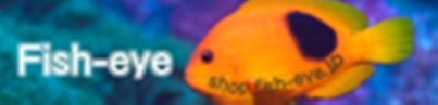 FISH-EYE_BANNER_DAI.JPG - 22,387BYTES